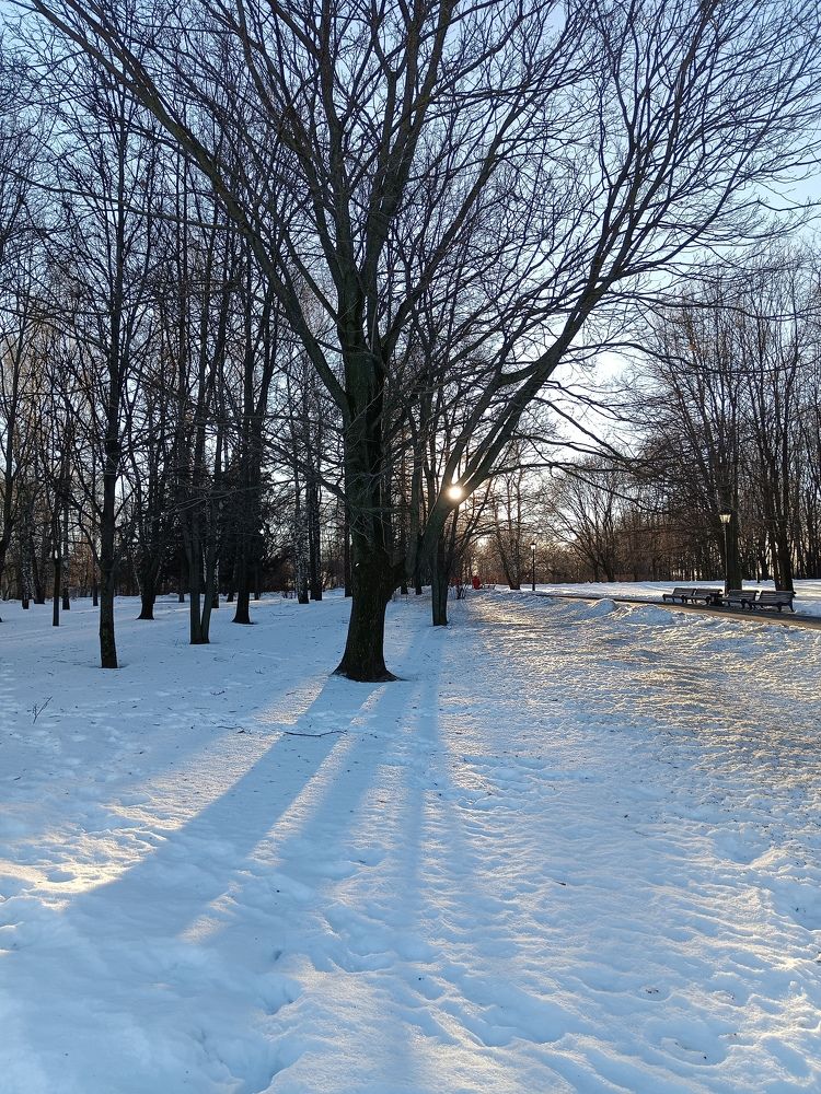 Photo #8579695