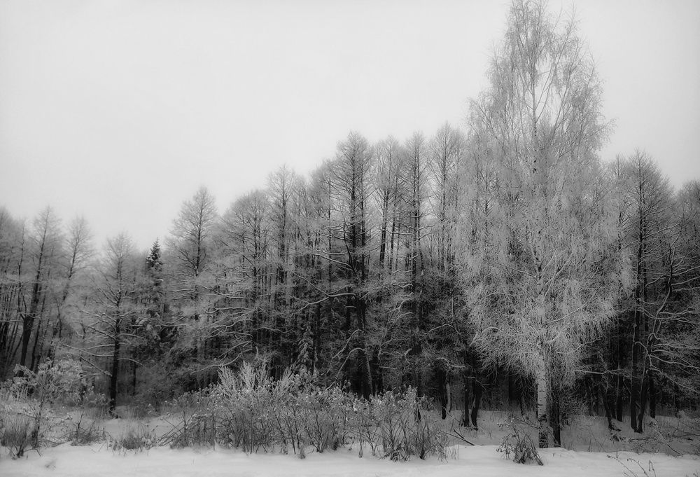 Photograph by Антон Чаузов