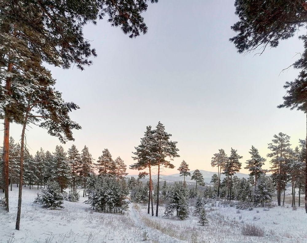 Photograph by Светлана Шелухеева