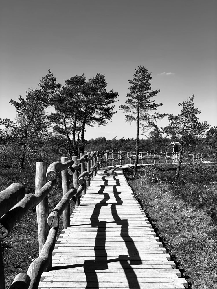 Photograph by Наталья Посашко