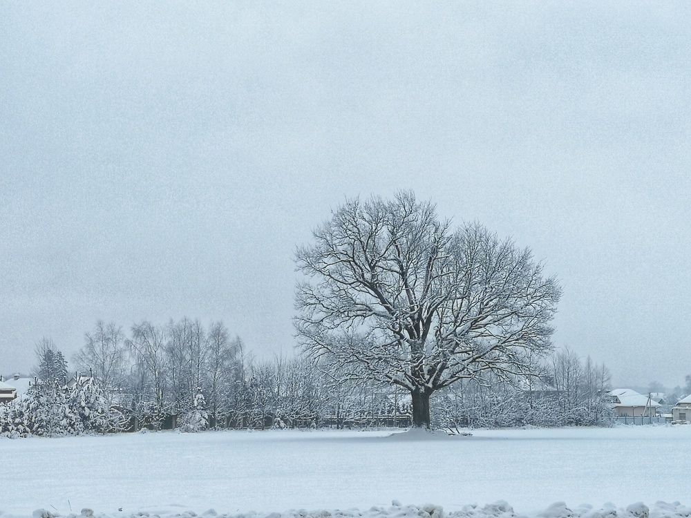 Photograph by Екатерина Борисовна Кузьмина