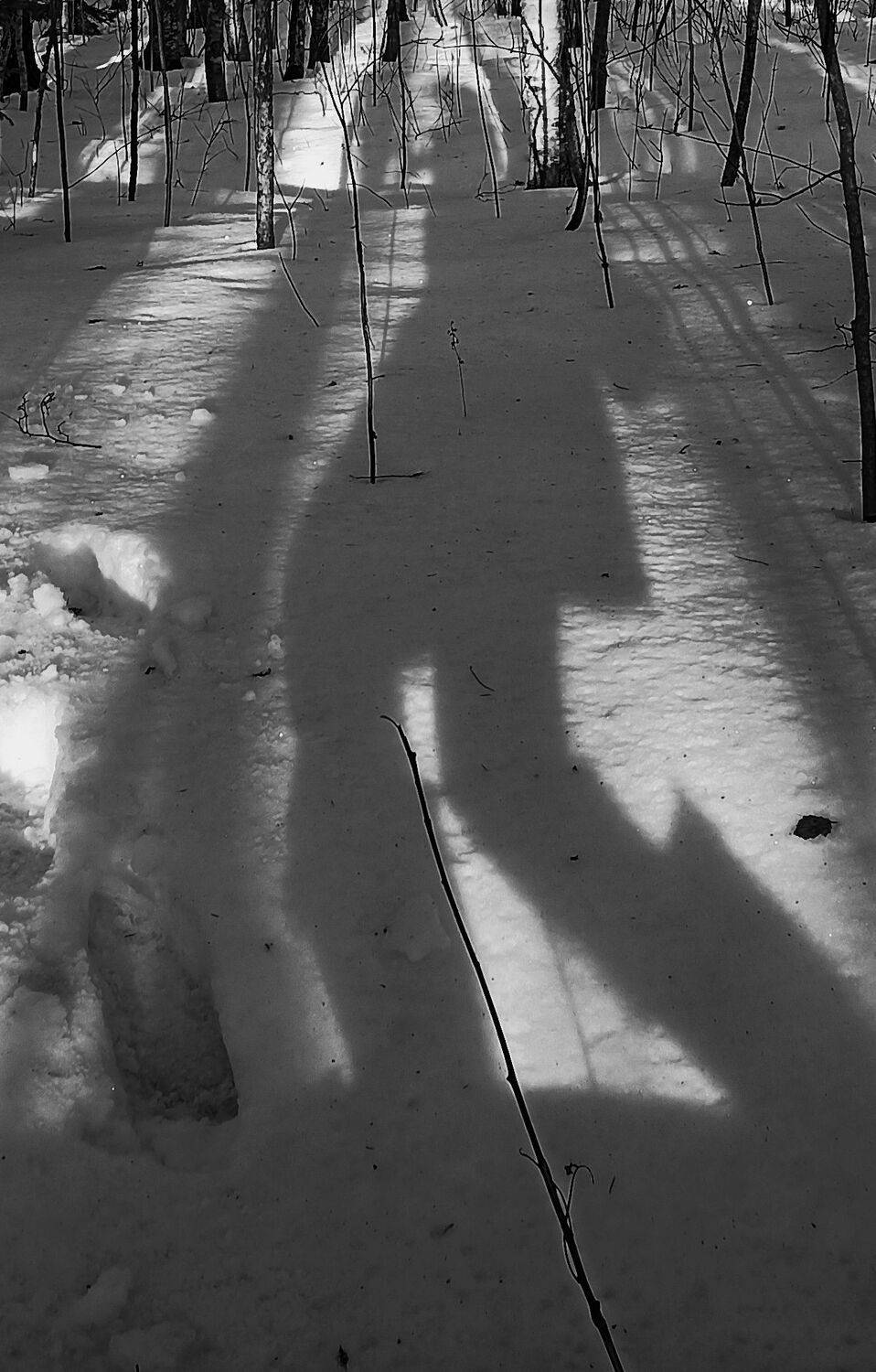 Фотография #8579846