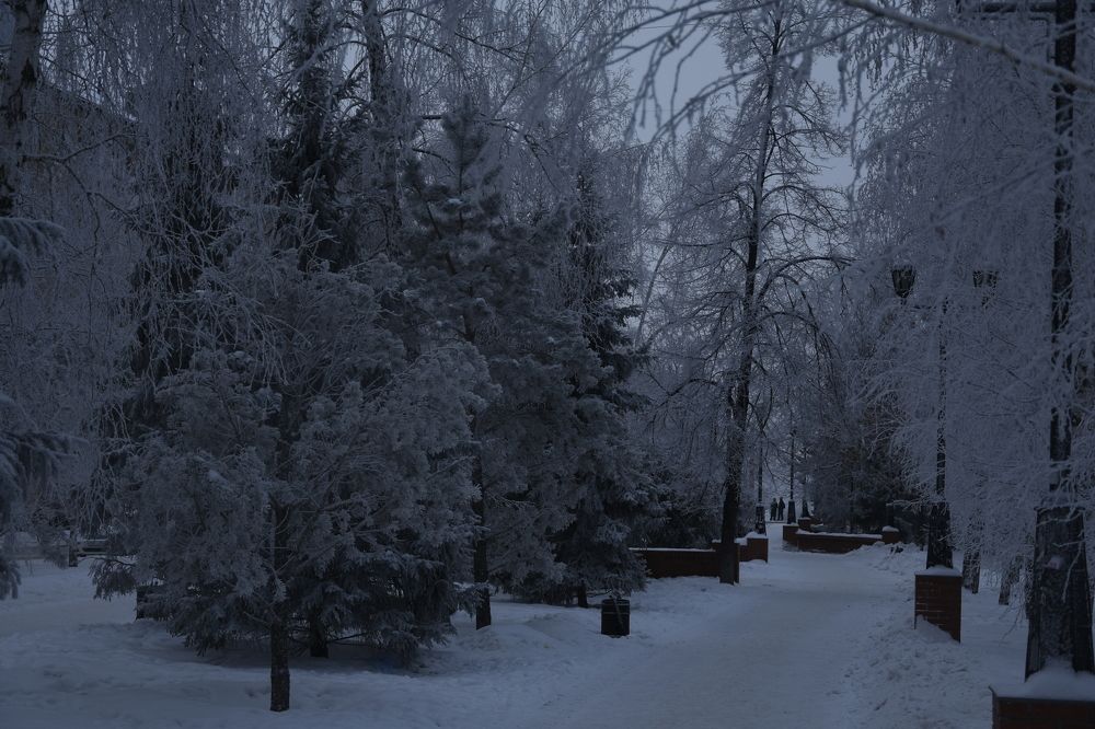 Photograph by Приходько Дмитрий