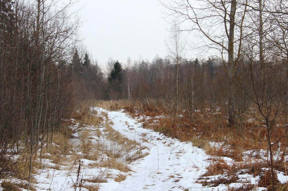 Photograph by Антон Чаузов