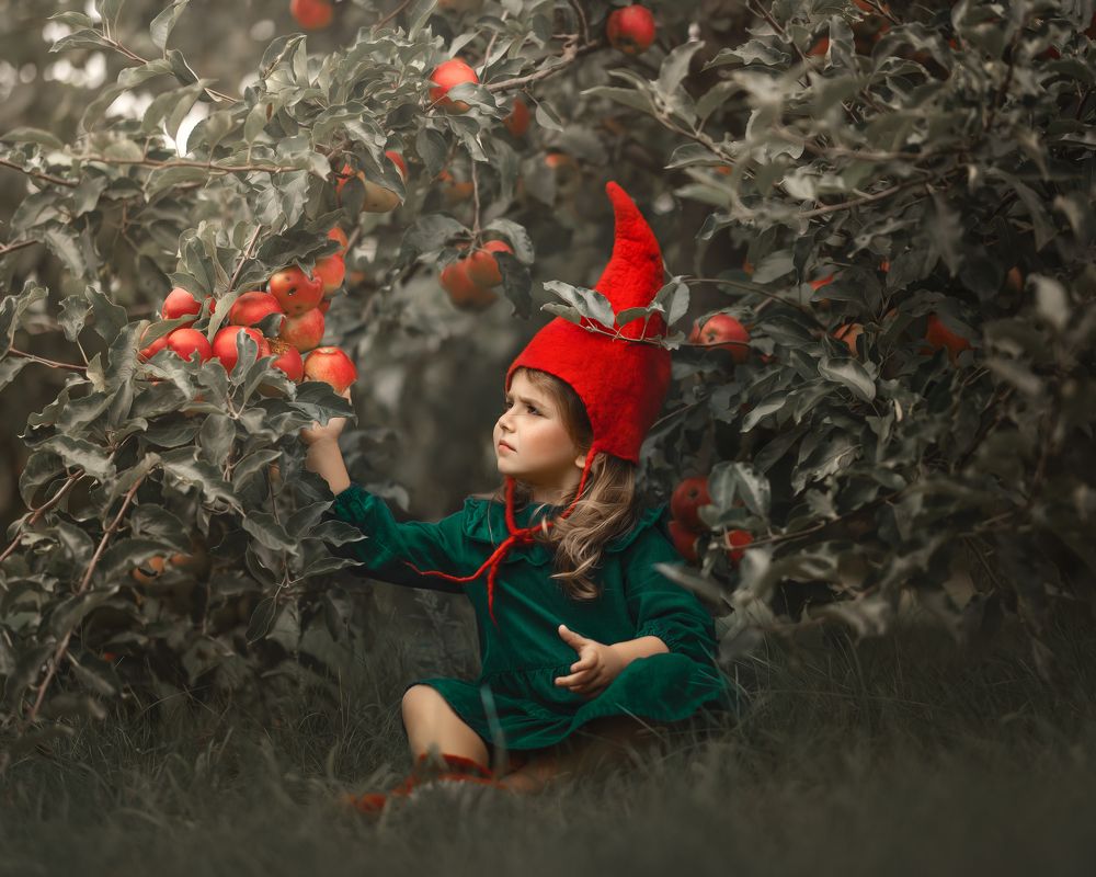 Photograph by Aleksandra Uzdrzychowska