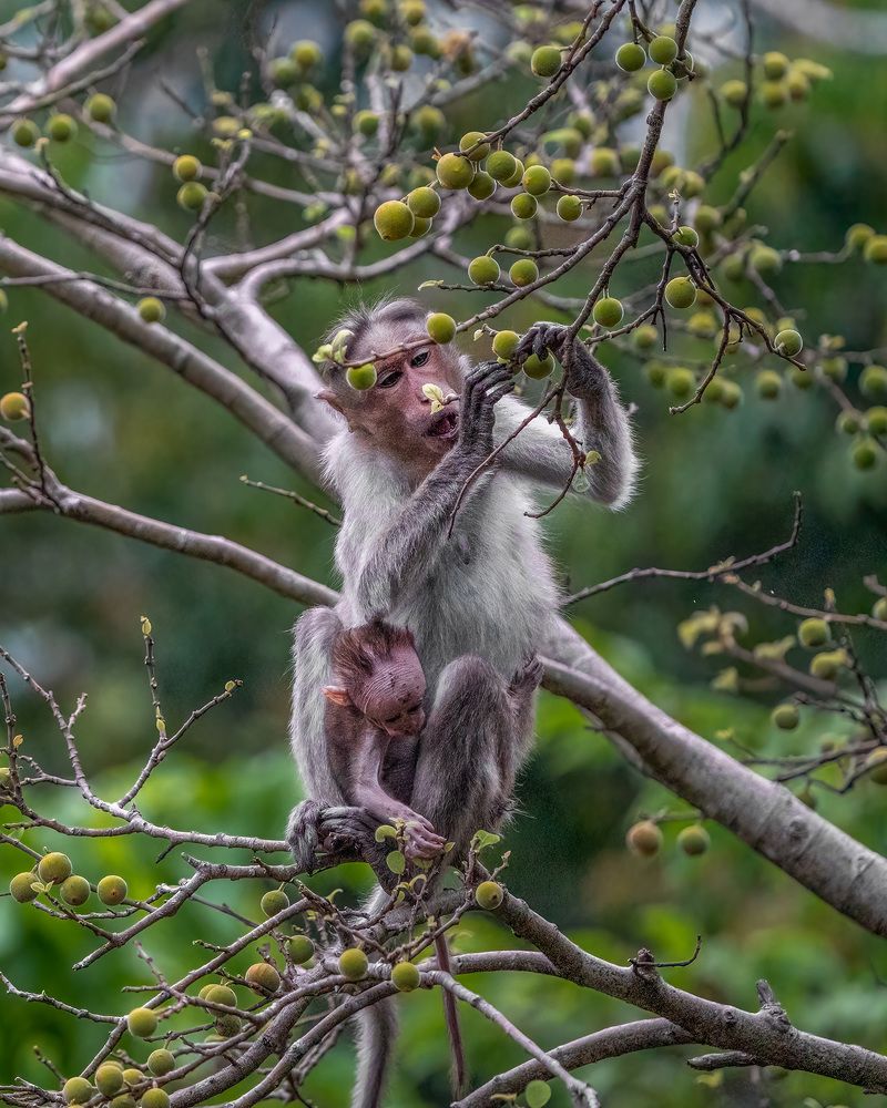 Photograph by Arun TK