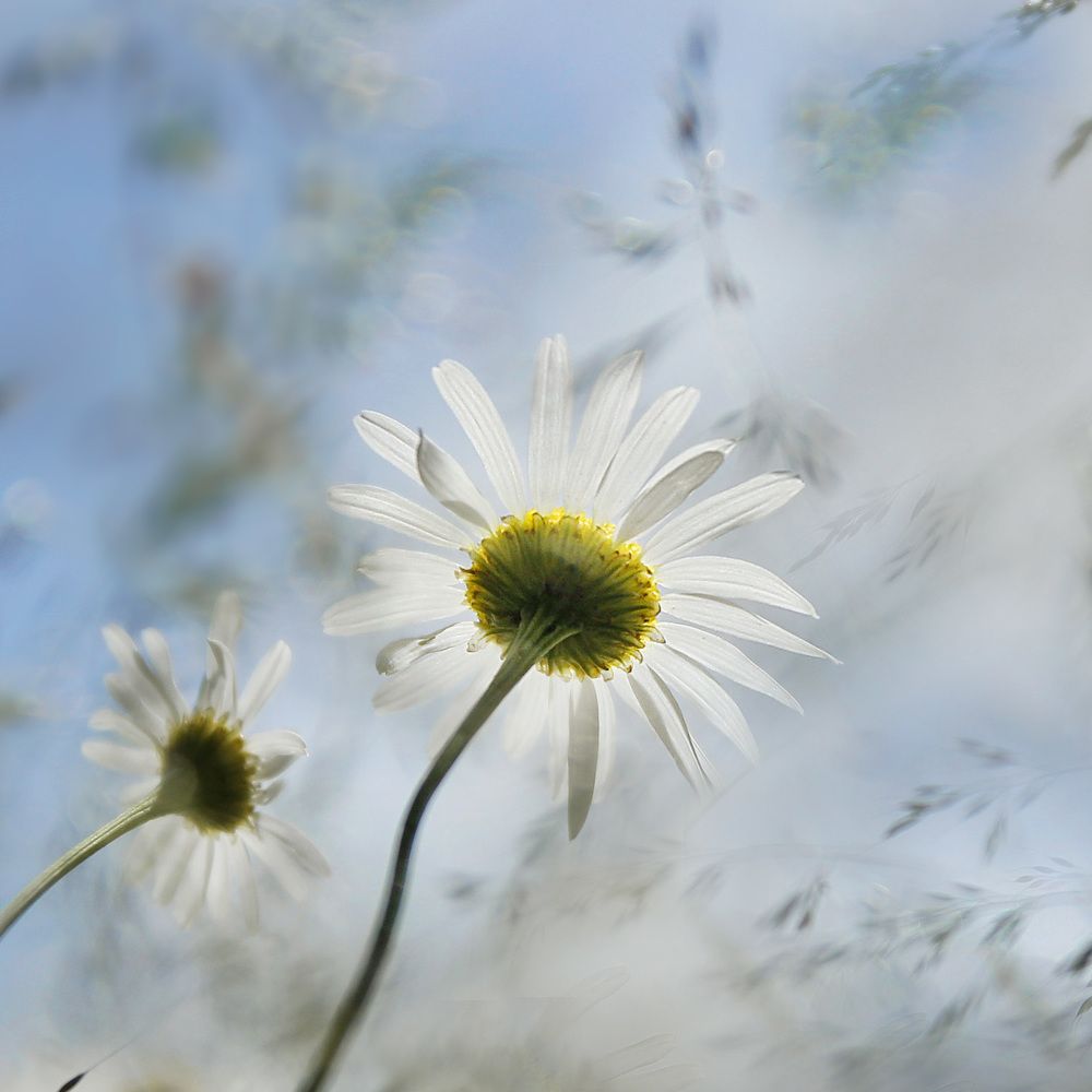 Photograph by Елена Кондратьева