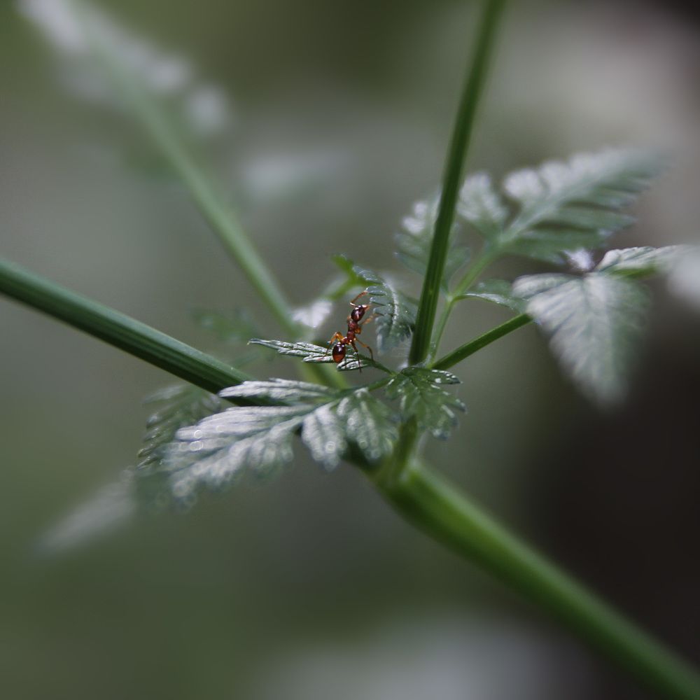 Photograph by Елена Кондратьева