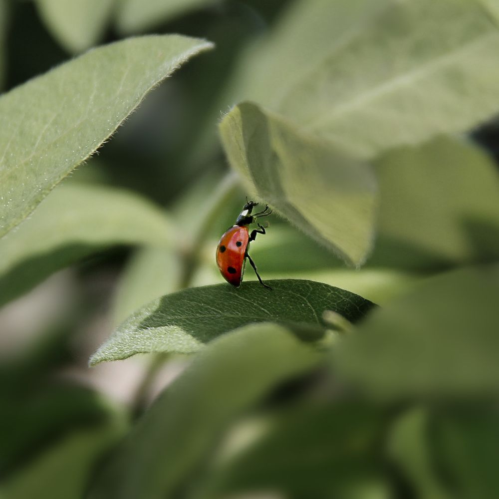 Photograph by Елена Кондратьева