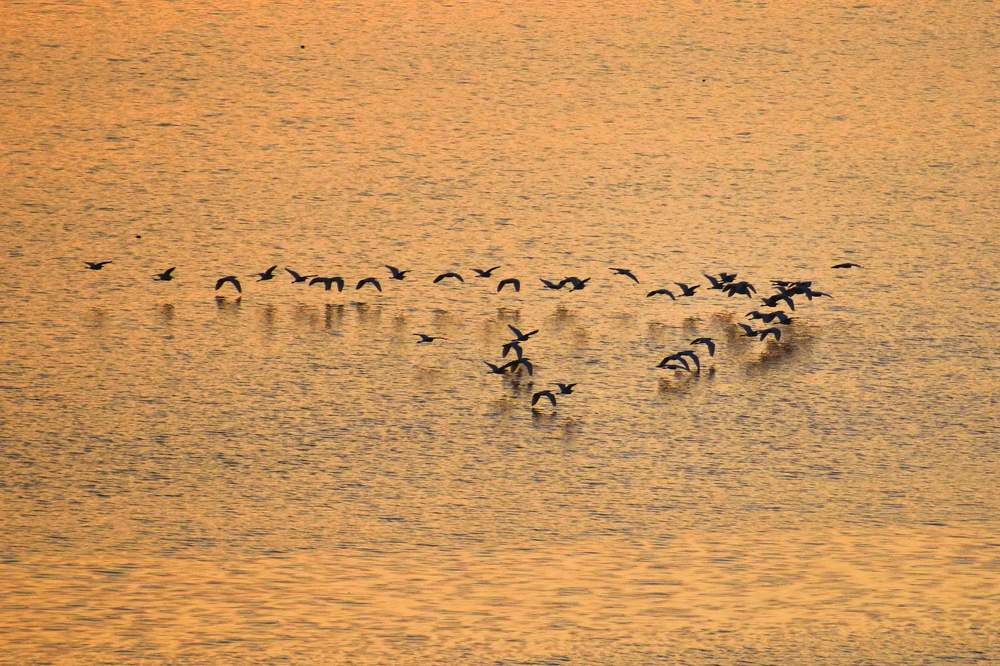 Фотография автора Sen Abhijit