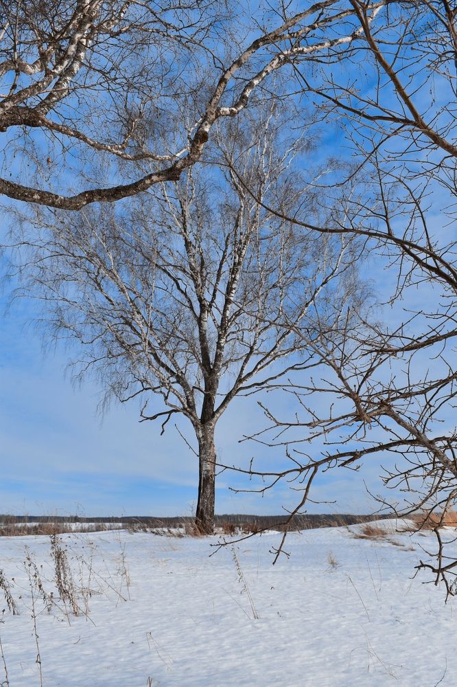 Photograph by Наталья Лапина