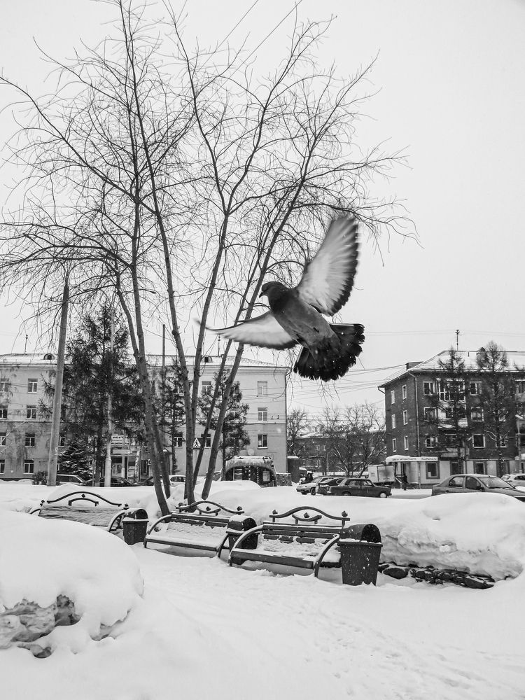 Photograph by Дарья Овсянникова