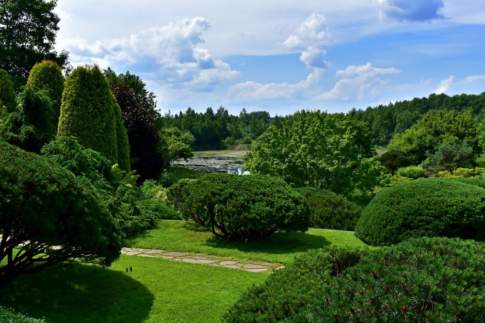 Photograph by Наталья Лапина