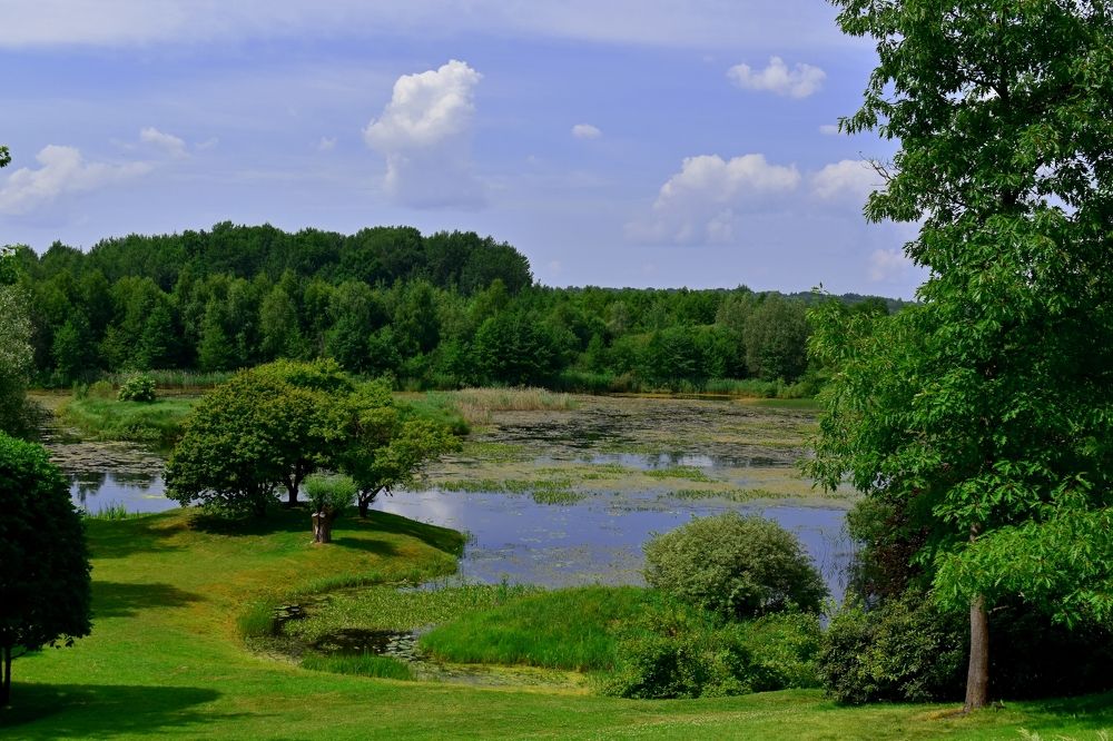 Photograph by Наталья Лапина