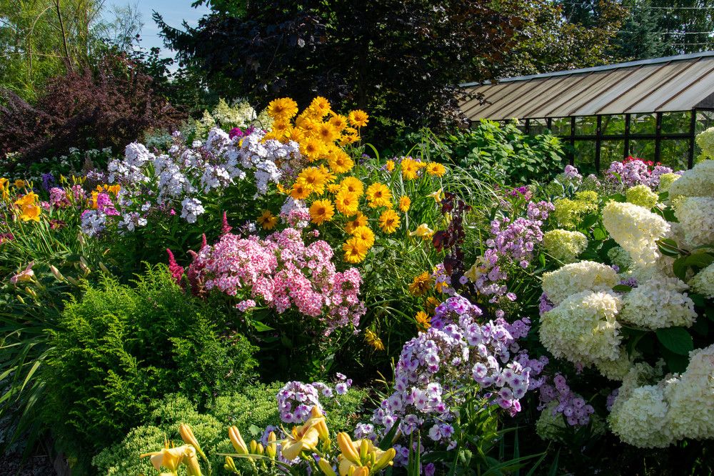 Photograph by Nora Cheprasova