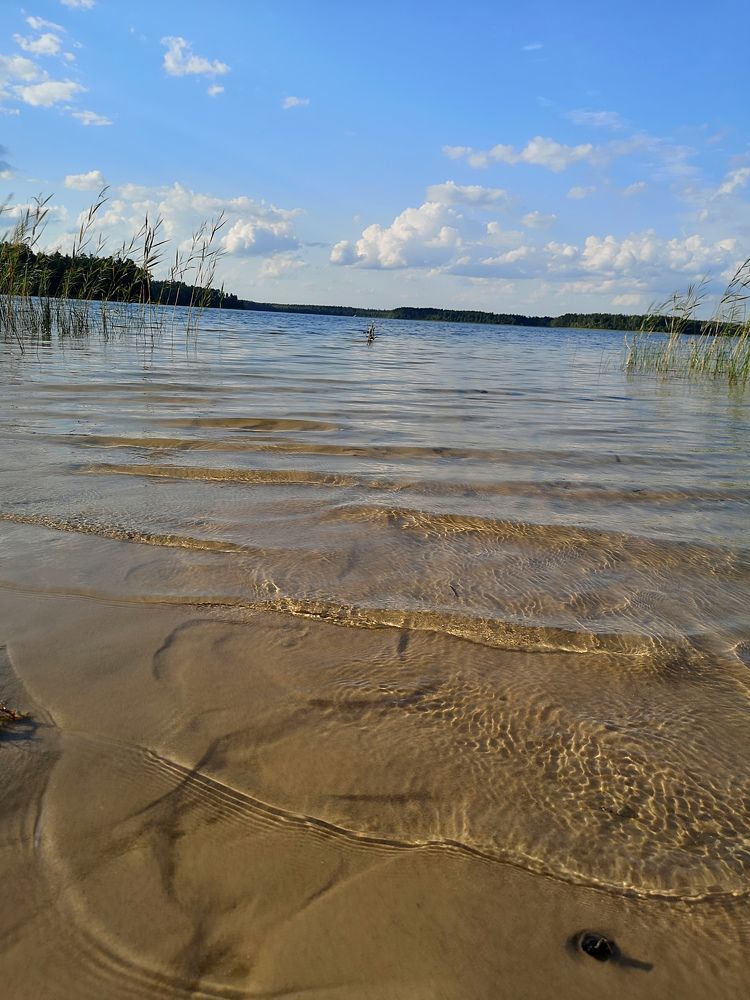 Photograph by Екатерина Борисовна Кузьмина