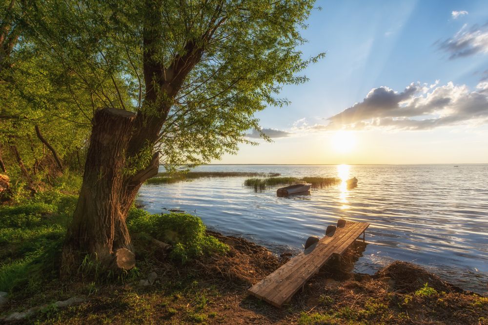 Фотография автора Илья Большаков