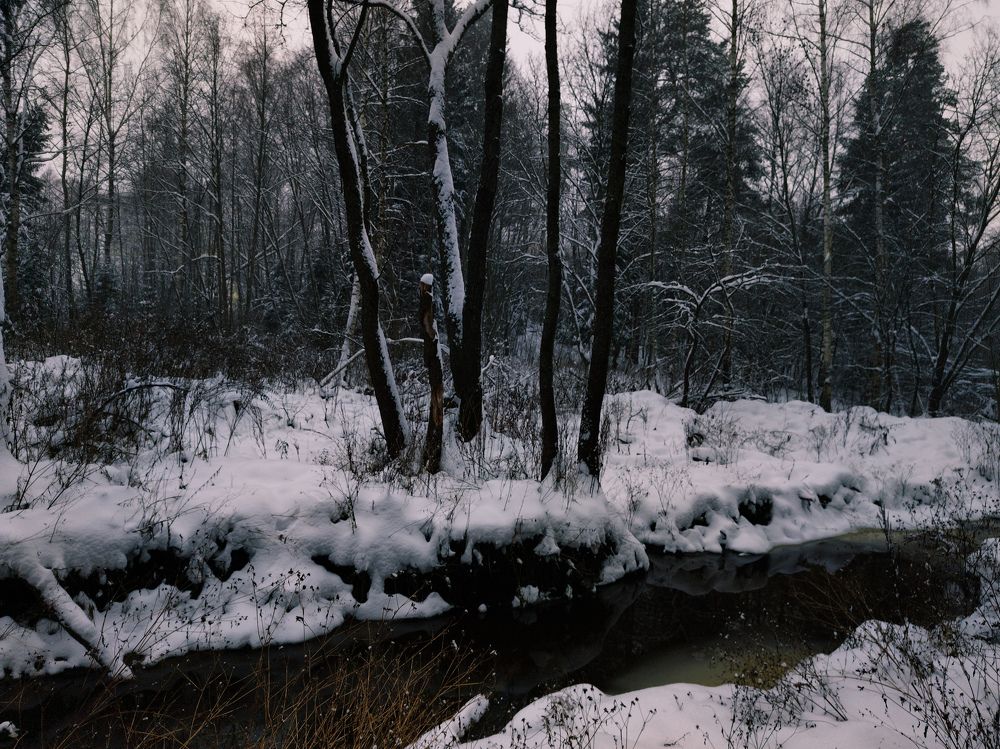 Photograph by Валерия Александровна