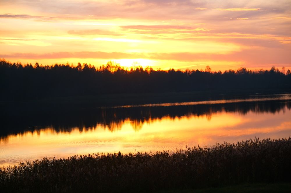 Photograph by Валерия Александровна