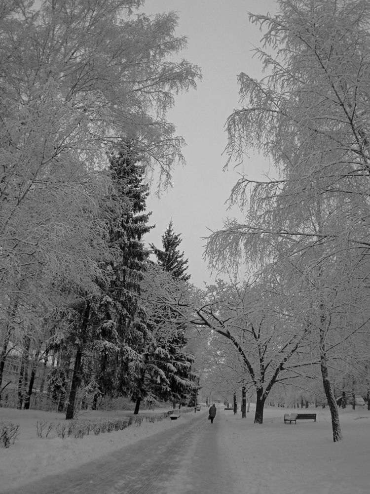 Photograph by Андрей Михайлин