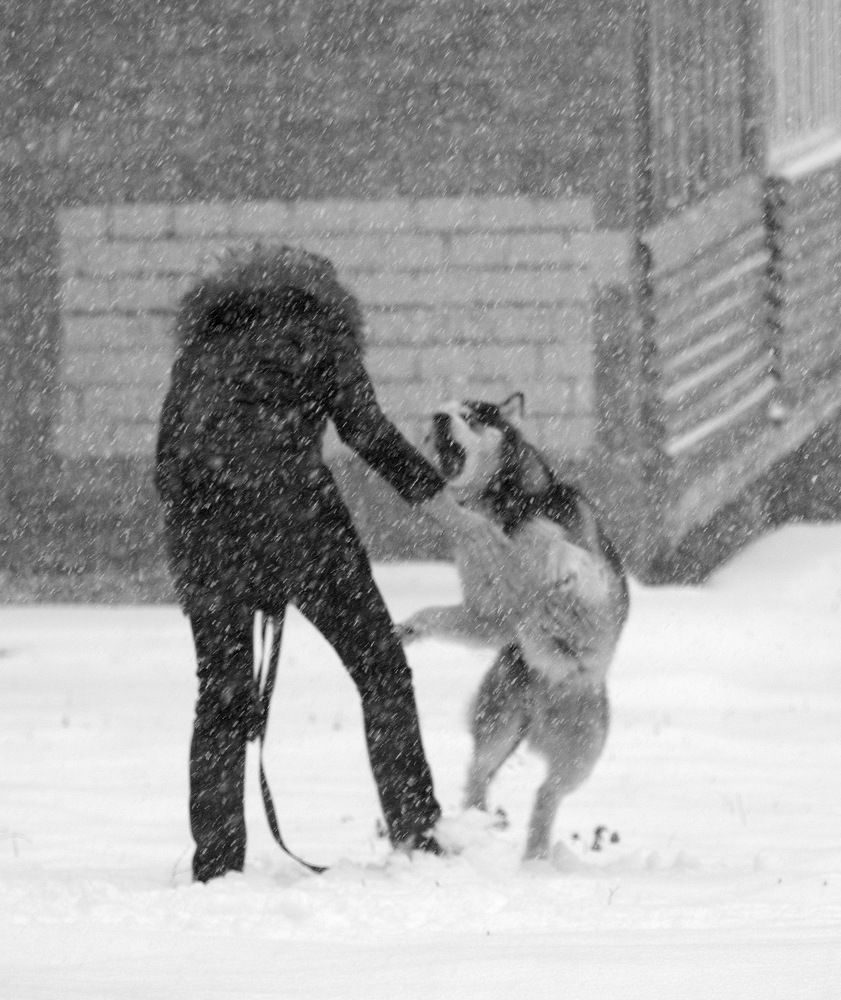 Photograph by Андрей Михайлин