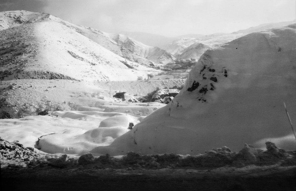 Photograph by shahin foroughi