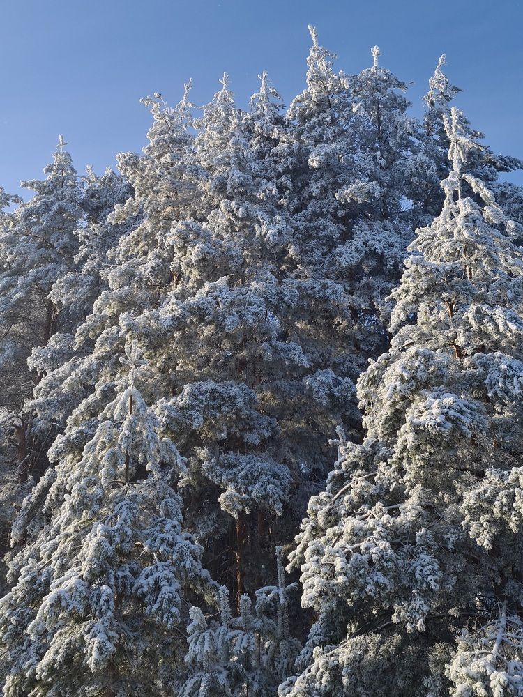 Photograph by Елена Квасова