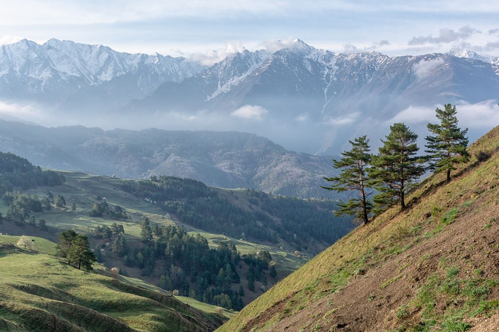 Фотография автора Илья Большаков