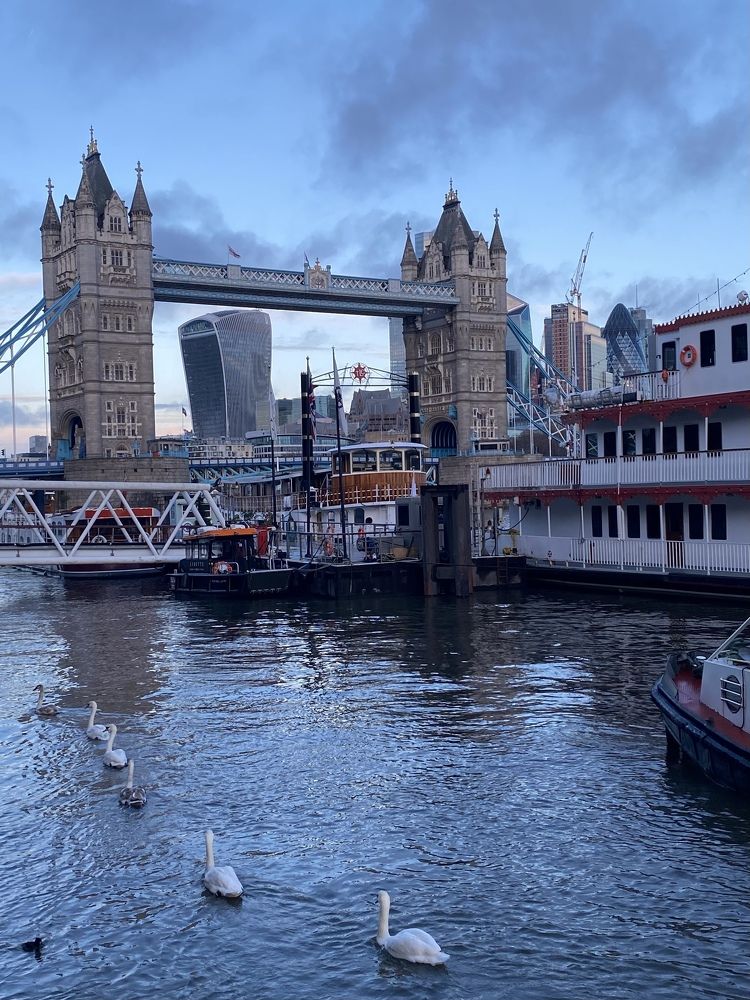 Photograph by Светлана Ионова