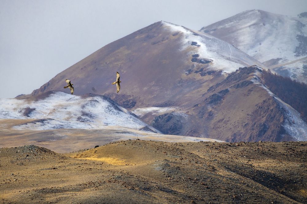 Photograph by Евгений Санин