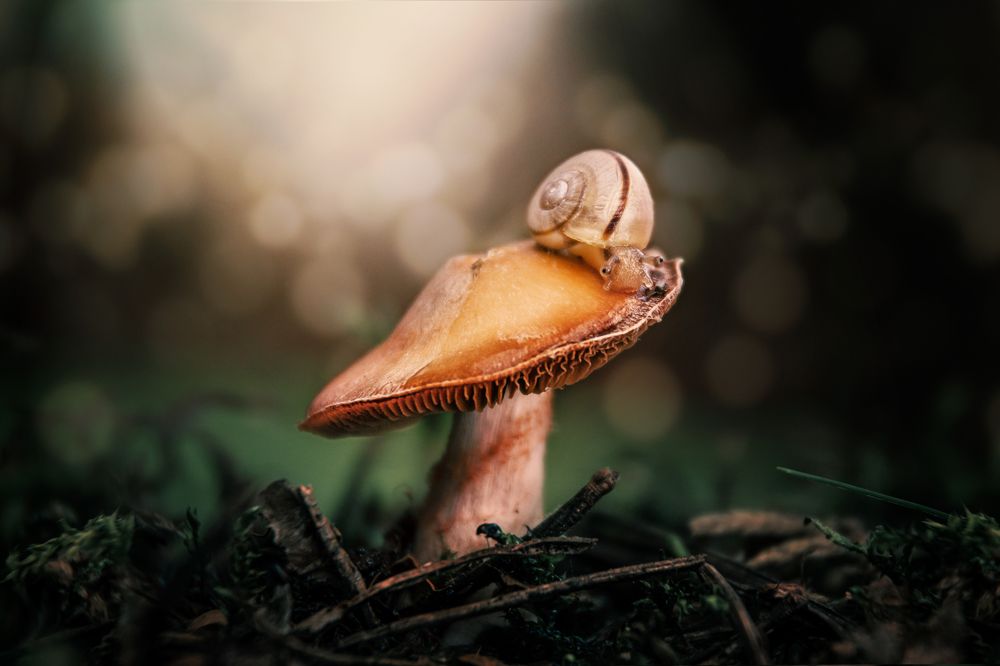 Photograph by Наталья Быстрая