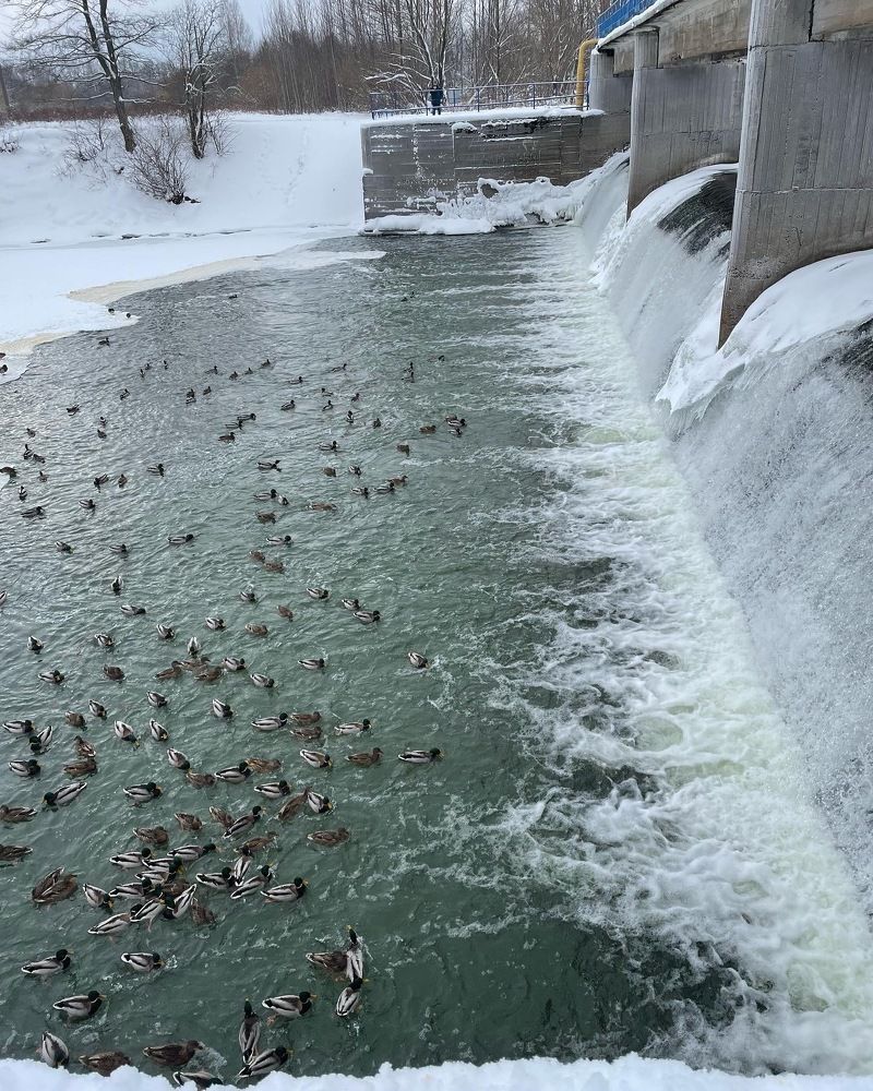 Photograph by Дарья Гаврилова