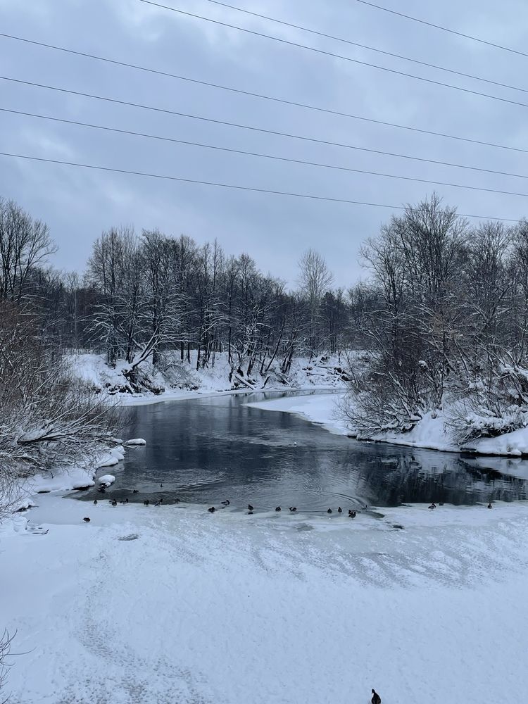 Photograph by Дарья Гаврилова