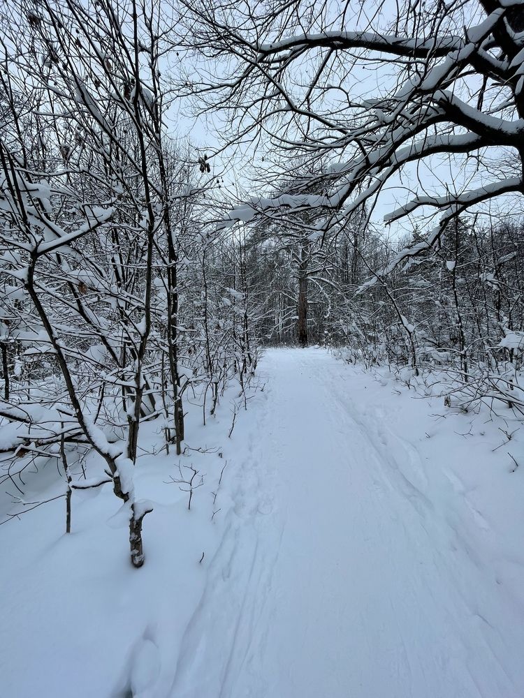 Photograph by Дарья Гаврилова