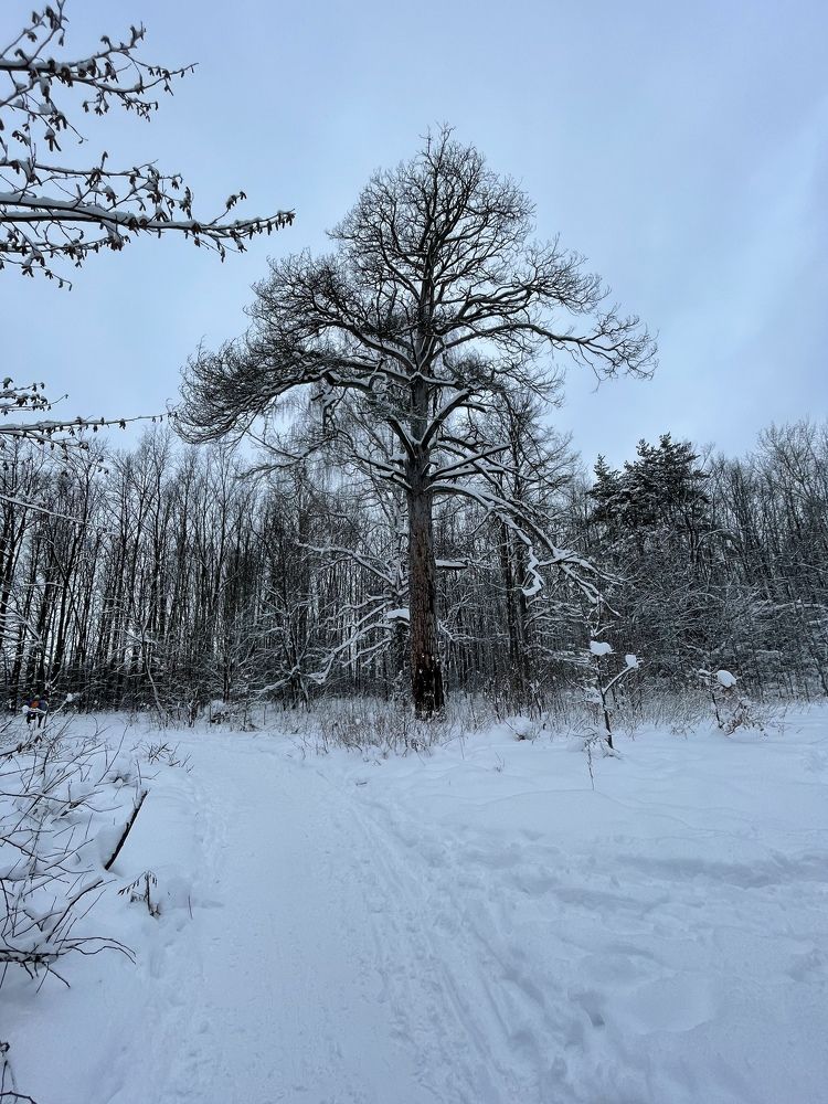 Photograph by Дарья Гаврилова