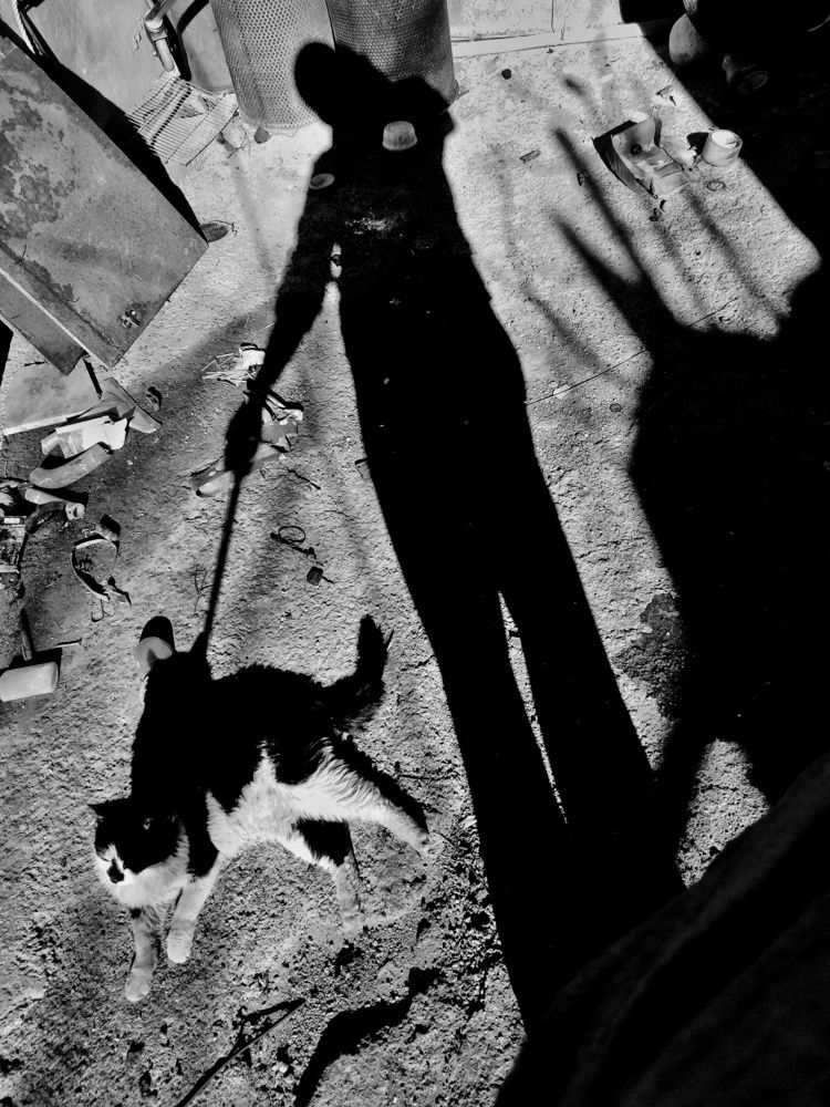 Photograph by Marziyeh Nasiri