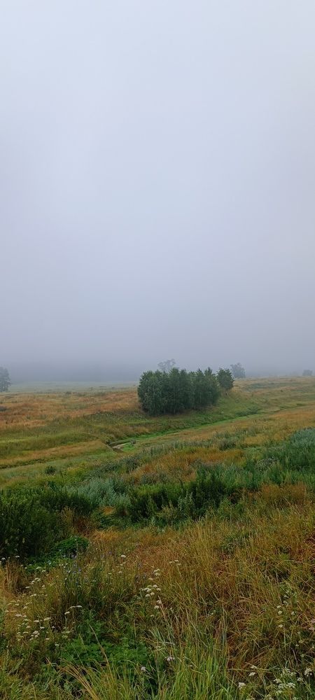 Августовское утро