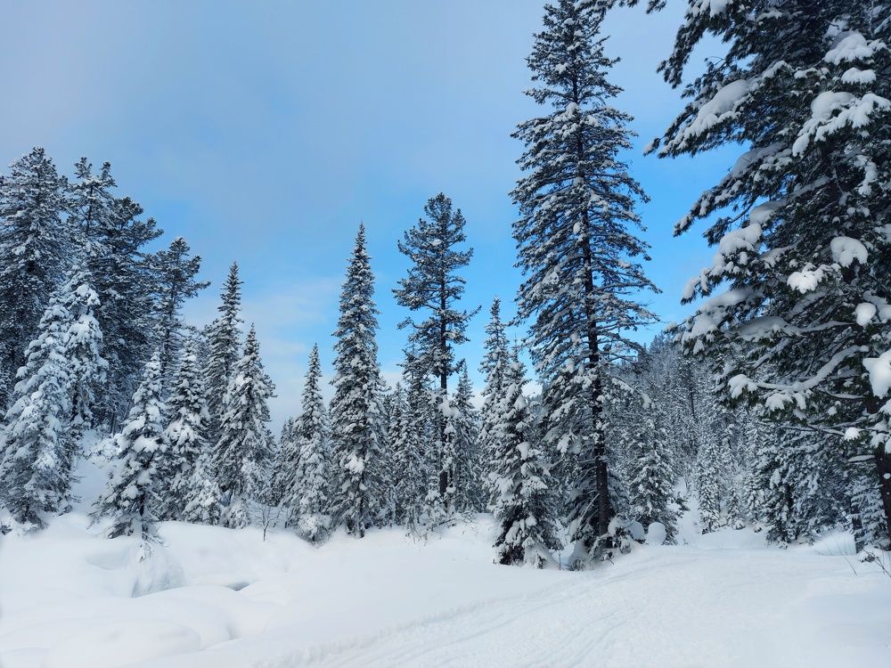 Photograph by Галина Беляева