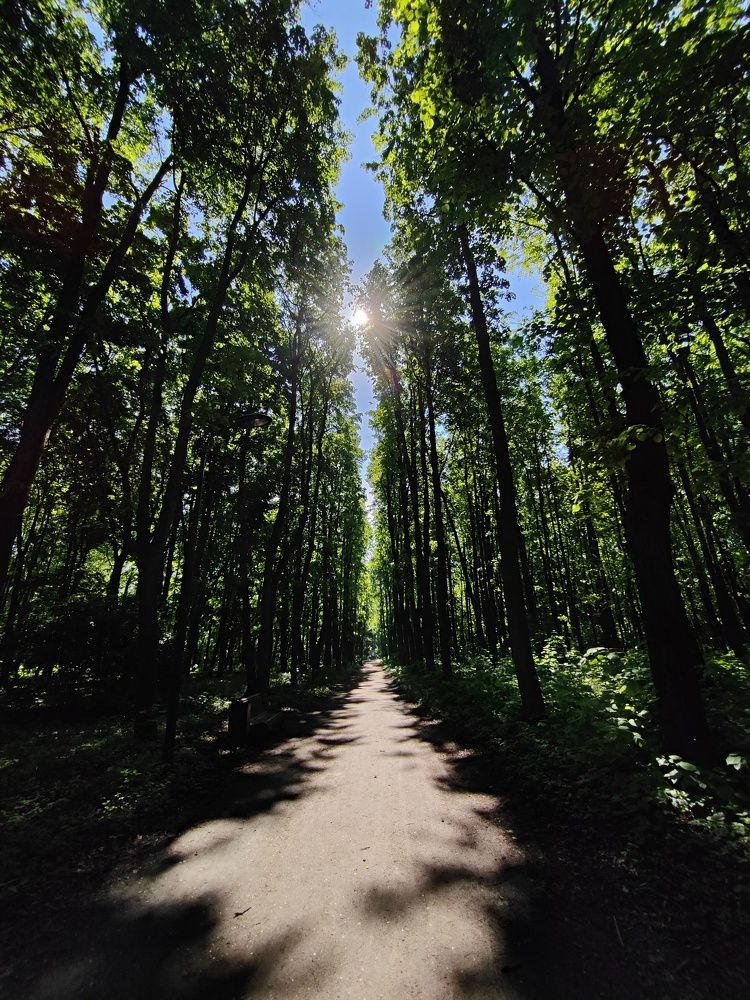 Photograph by Дмитрий Зернов