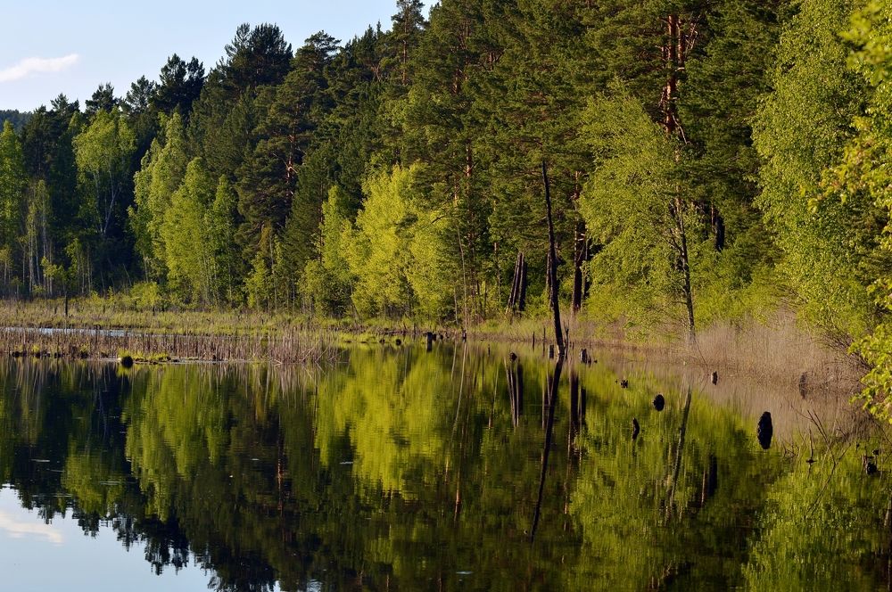 Photograph by Nadezhda