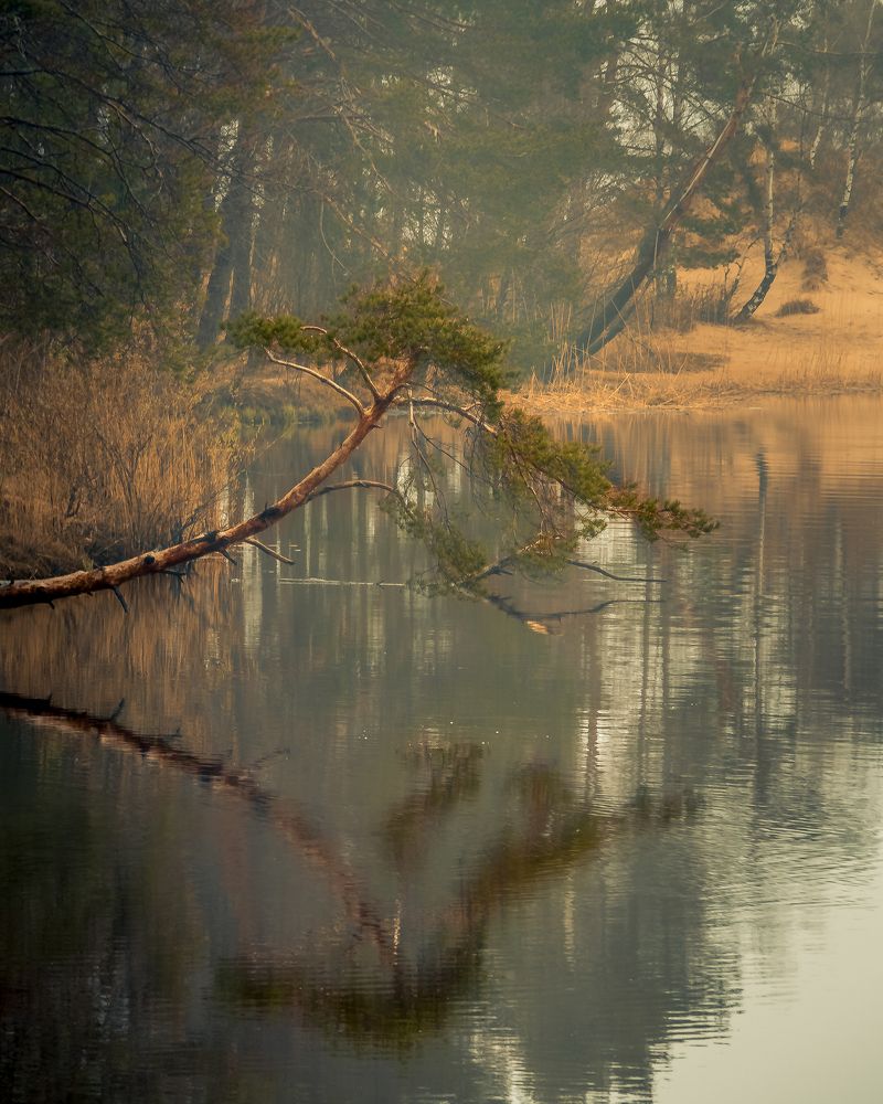 Photograph by Сергей Богданов