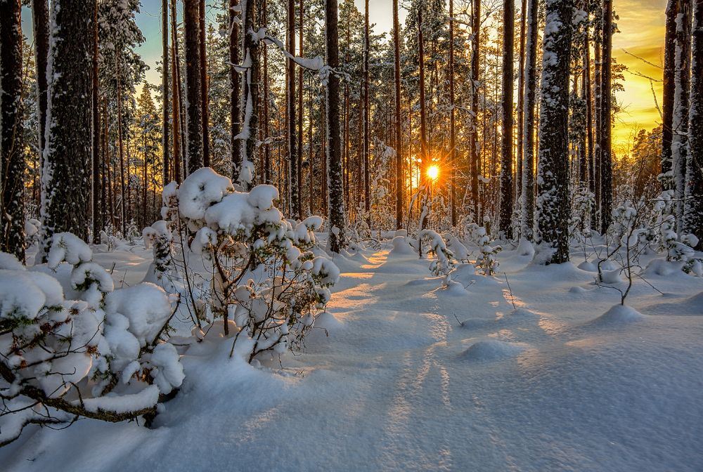 Фотография автора Евгений Кузнецов