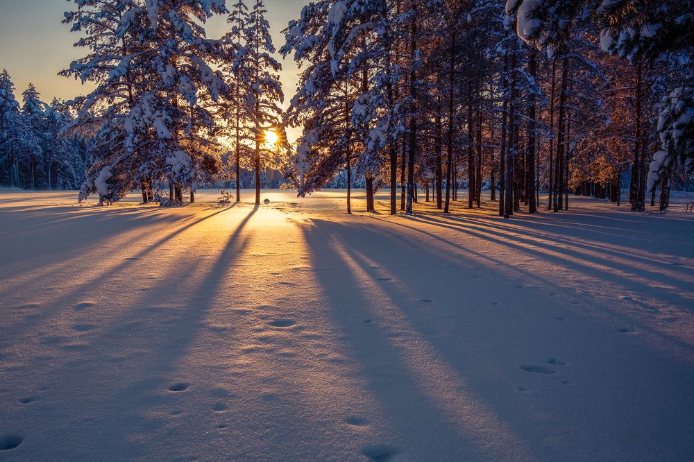 Фотография автора Евгений Кузнецов