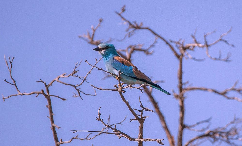 Photograph by Сергей цыбизов