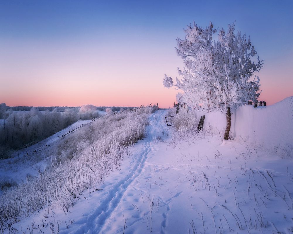 В легком реверансе новому дню...