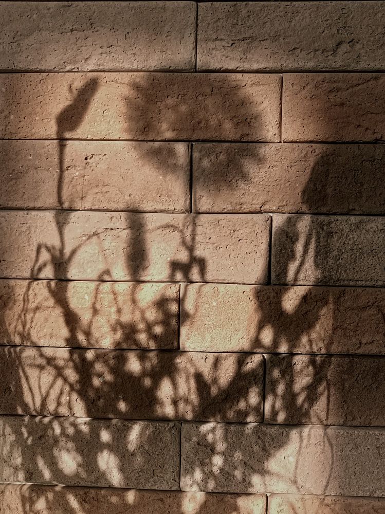 Photograph by Наталья Перерва