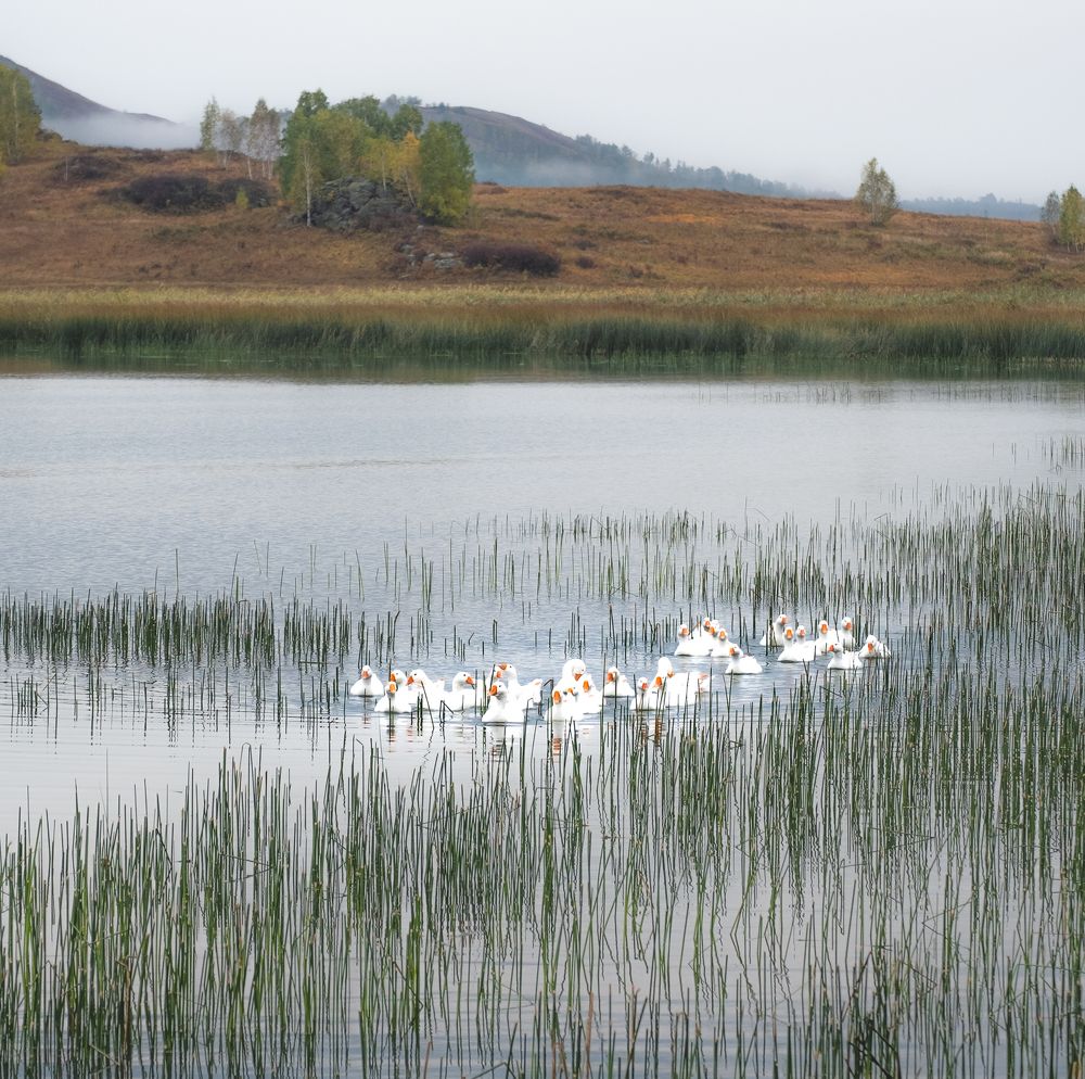 Photograph by Вадим Коротеев