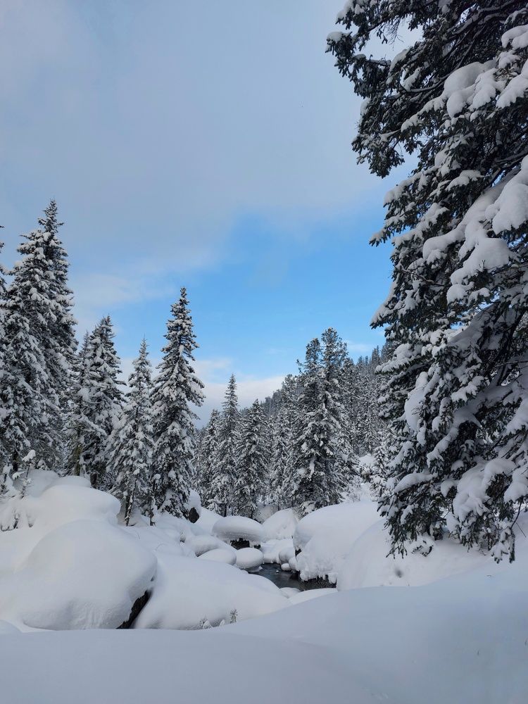 Photograph by Галина Беляева