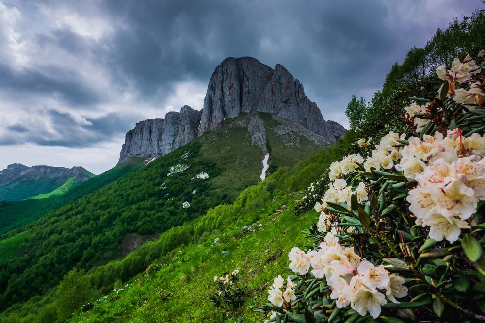 Photograph by Константин Шишкалов