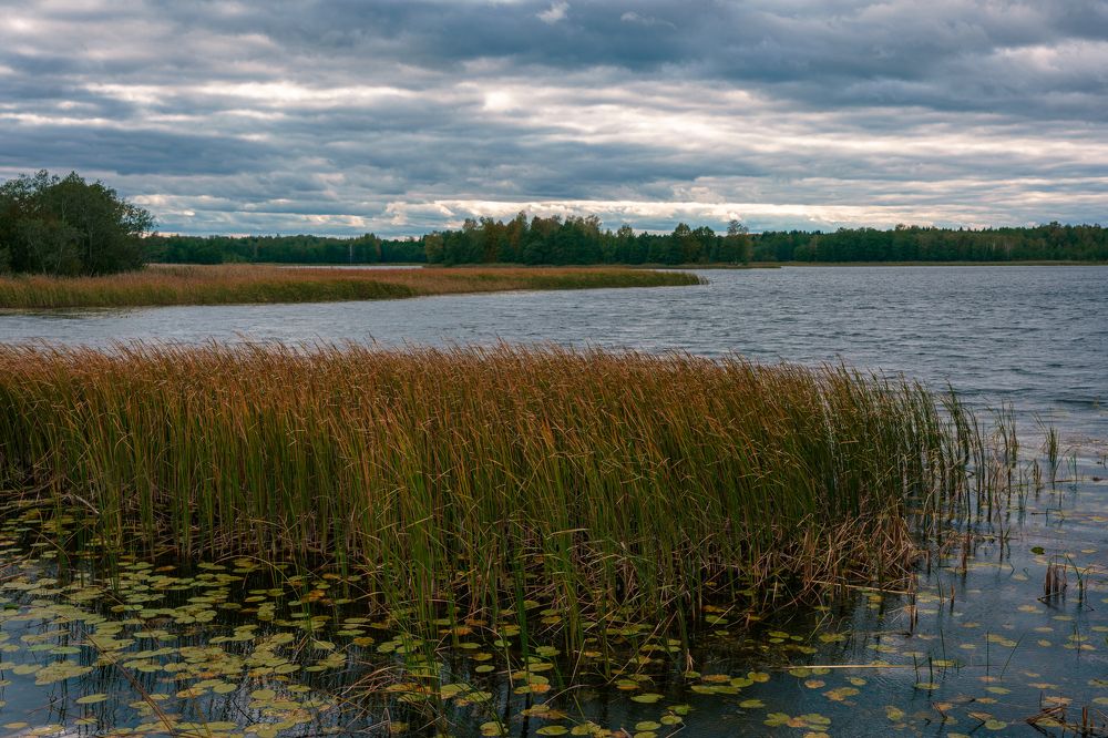 Photograph by Котов Дмитрий